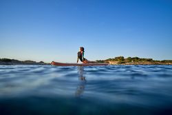 Fit sportswoman taking Cobra pose on SUP board in sea