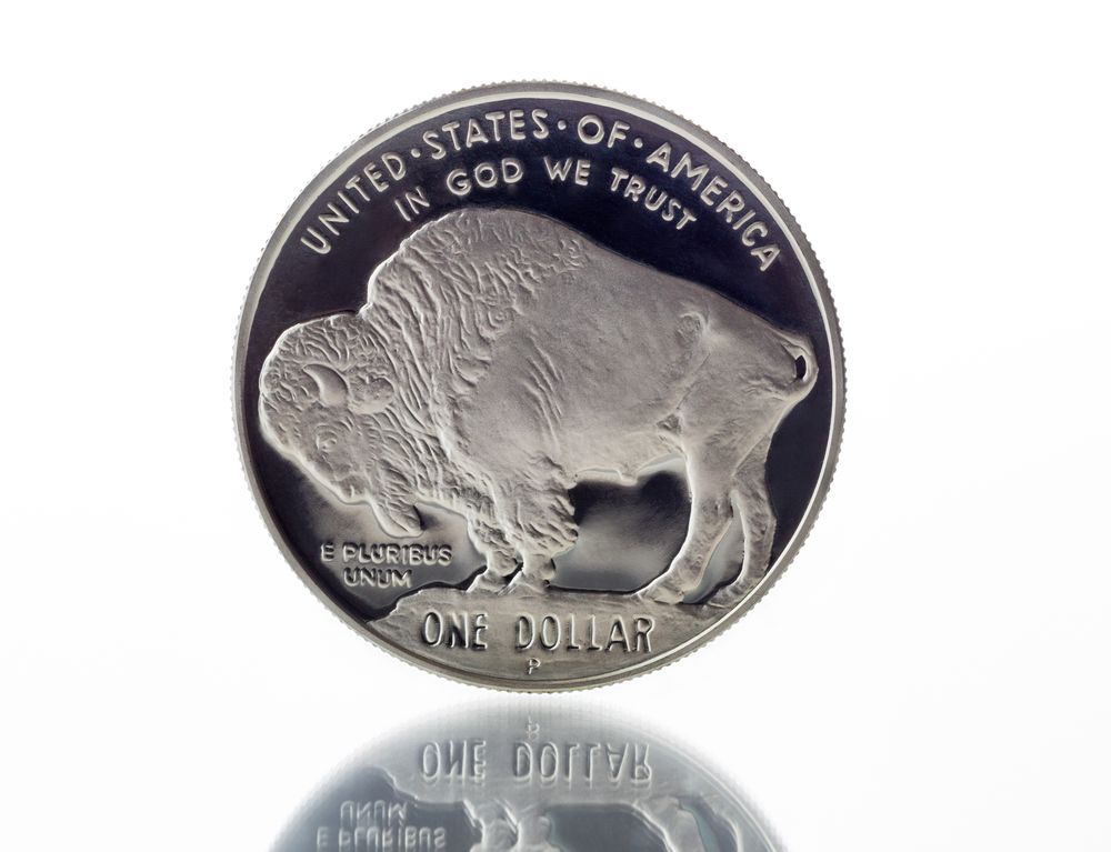 Buffalo Silver Dollar with Reflection on Plain background