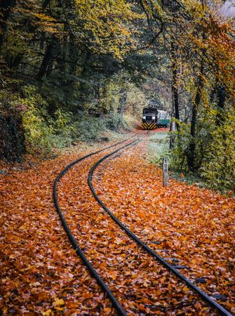 Train passing on dark rails between orange leaves covering the ground