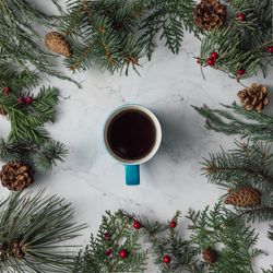 Winter foliage with pine cones bordering marble background with dark coffee