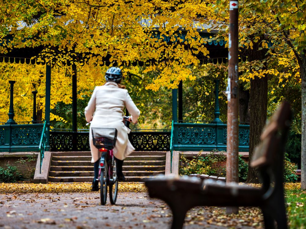 Autumn colors in the city of Strasbourg. Yellow, red, orange