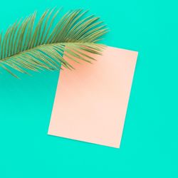 Tropical palm leaf with pink paper card note on vivid blue background