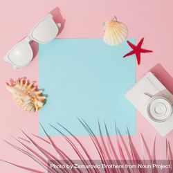 Beach accessories and palm leaves on pastel pink and blue background 5ppXv5