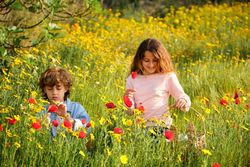 Children with basket walking in blooming field