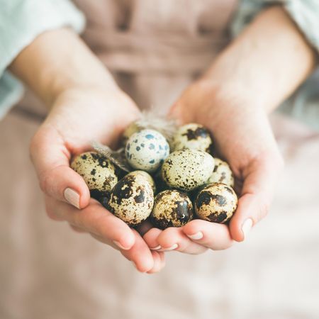 Close up of woman holding handful of speckled quail eggs