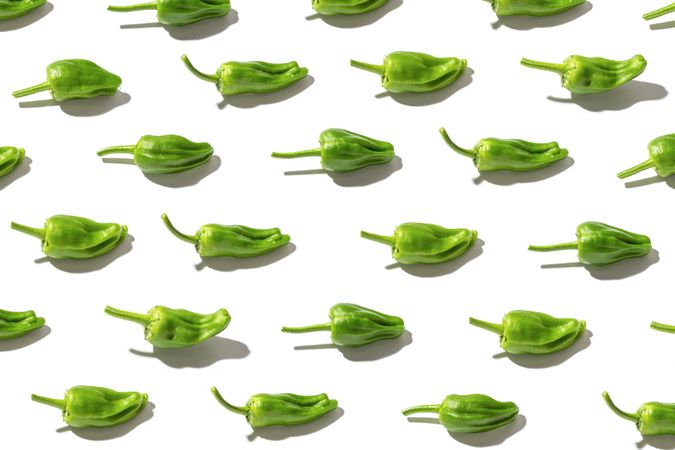 Fresh padron pepper