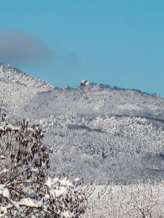 Snow-covered white fields in Alsace, top view.