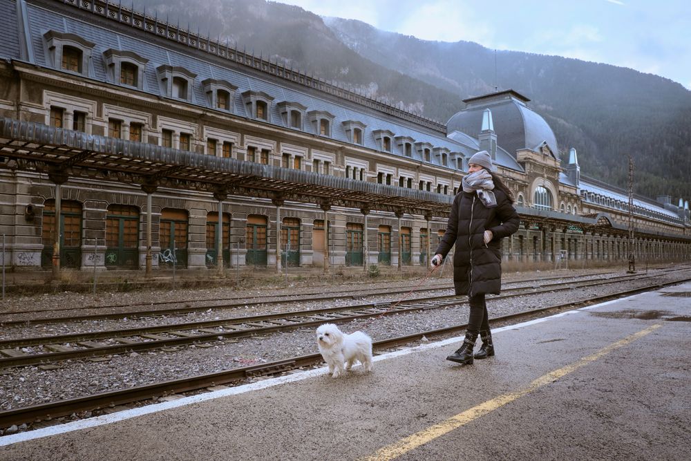 Woman with dog walking along platform at railway station