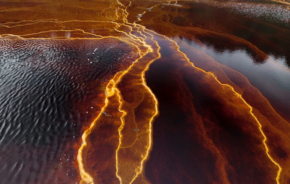 Bright orange splashes in nature