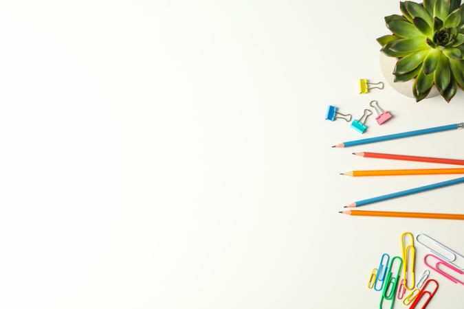 Composition with succulent plant, pencils and clips on plain background, space for text