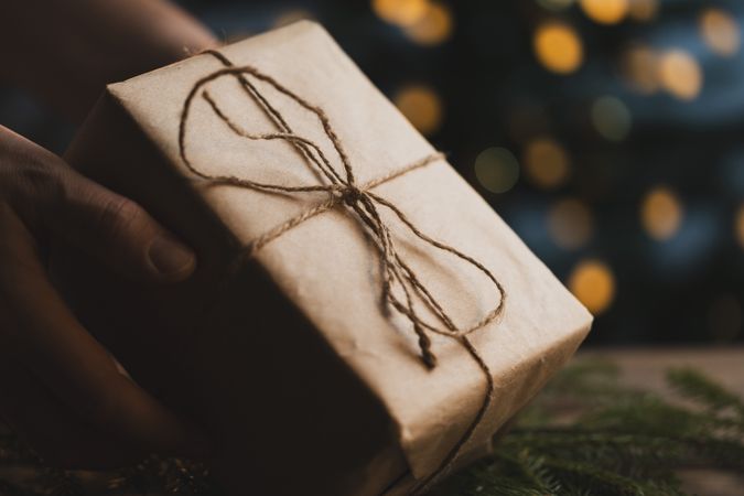 Eco friendly Christmas gift in hands
