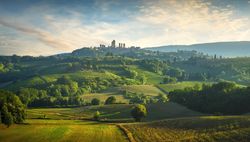 Panoramic view of chianti and vernaccia vineyards, San Gimignano, Tuscany, Italy