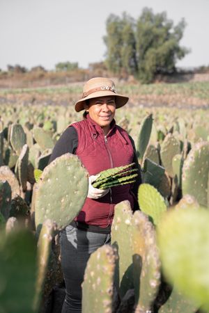 Portrait of an adult woman harvesting nopal with her hands wearing a hat