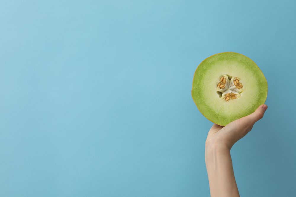 Juicy and tasty summer time fruit concept - melon