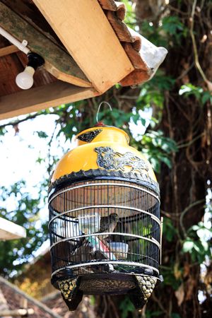 Sangkar Burung, Indonesian Bird Cage Hanging on House Roof