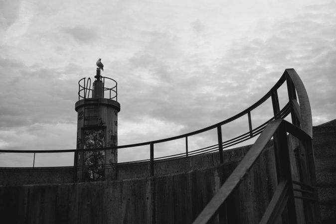Bird on top of lighthouse