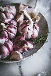 Close-up of a plate of garlic