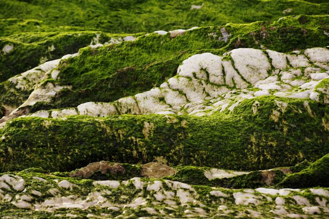 Stony hill covered with moss