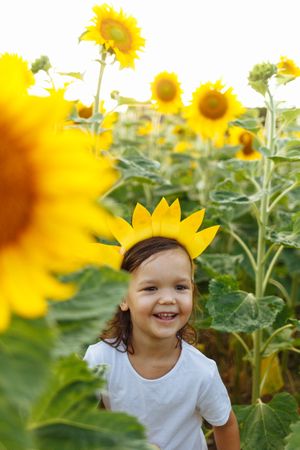Cute child in blooming sunflower field