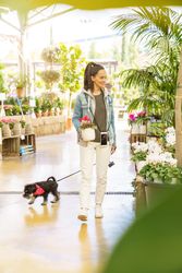 Hispanic woman with dog in floral shop