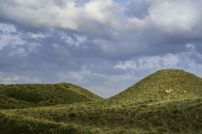 Grassy hillsides on Sylt island