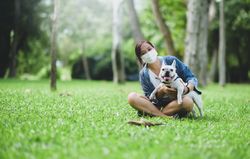 A woman wearing a medical mask sitting on the lawn with a French bulldog.