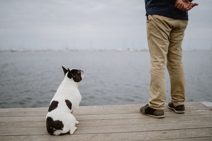 Man and dog on pier
