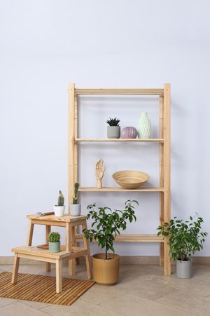 Cozy hobby - growing indoor plants at home