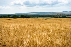 Rural field surrounded by hills