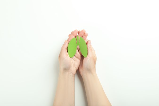 Small green lungs being held in hands