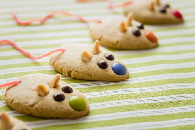Cookies with mouse shaped and red licorice tail