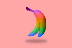 Two suspended multicolored bananas