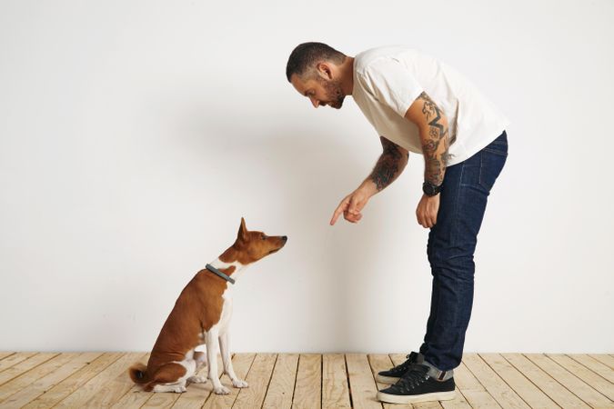 Casual, tattooed man leaning down to dog