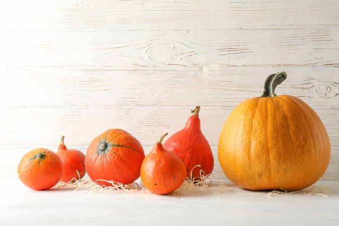 Pumpkins on wooden background, space for text