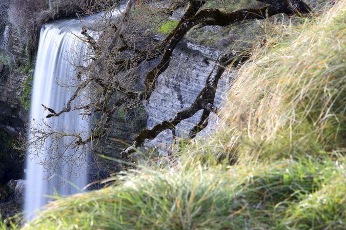 Autumn tree and waterfall