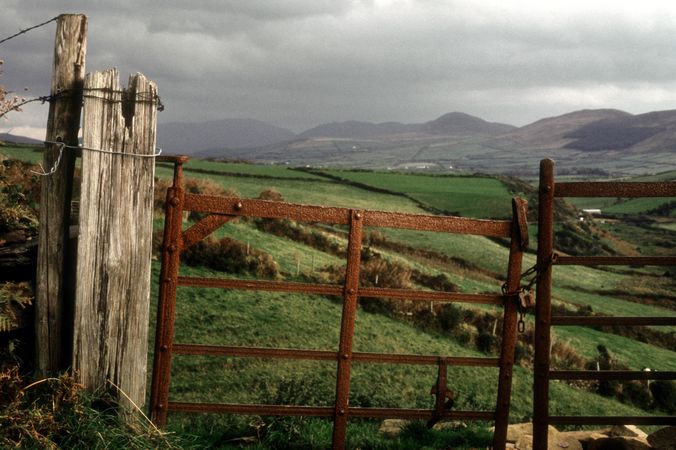 Split-rail fence on green field