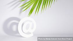 Internet “at” symbol under palm leaf 48kQ75