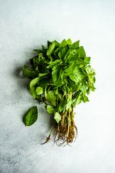 Bunch of fresh green herb