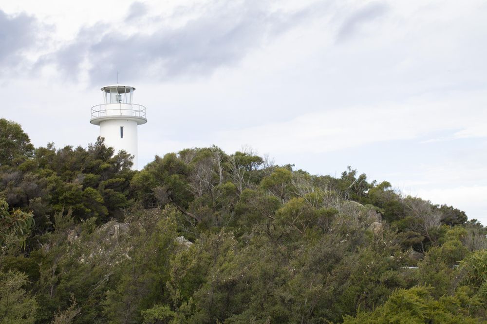 Light house nestled among trees on a cloudy day
