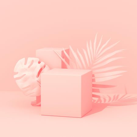 Pink background with pink box, pink painted palm and monstera leaves