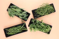 Top view of small containers of different herbs