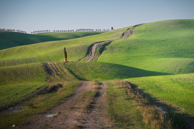 Wonderful empty green fields