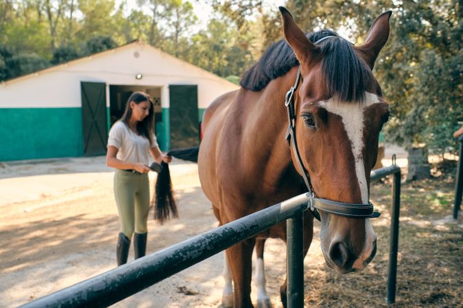 Horsewoman brushing tail of horse in countryside