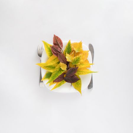 Pile of leaves on plate with knife and fork