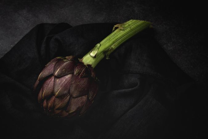Fresh raw purple artichokes on dark background.