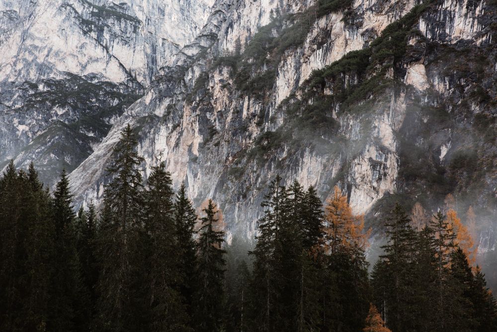 Big mountains near pine forest on cloudy weather