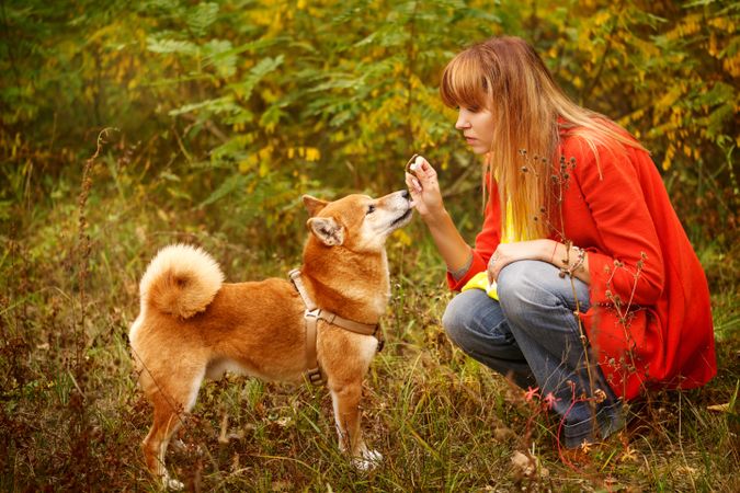 Female in red coat sitting down with twig for her her shibu dog in a park