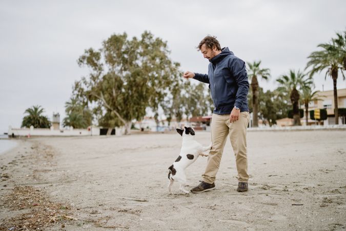Owner playing with dog on beach