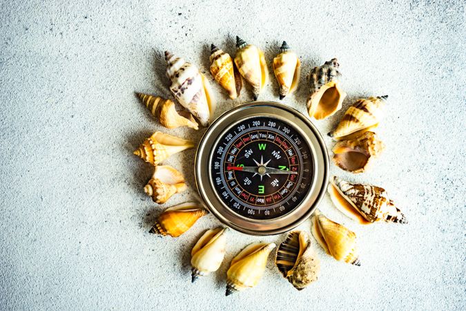 Seashells surrounding compass
