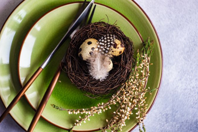 Top view of delicate nest with small speckled eggs on green plate with branch